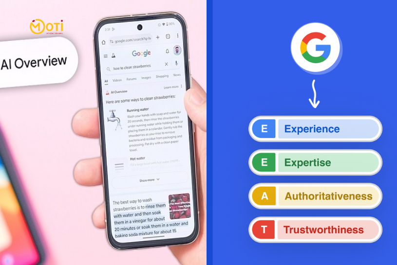 viết bài cho website